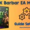 RTX Barbar MT5 Settings
