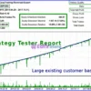 Reversal Expert for MT5 Backtest Results