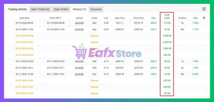 Robofxea Pro MT5 Myfxbook Results