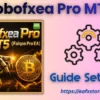 Robofxea Pro MT5 Settings