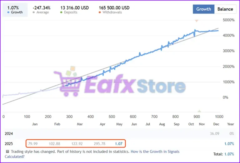Rofiknur EA Live Trading Results