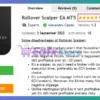 Rollover Scalper EA MT5 Review