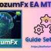 RozumFx EA MT4 Settings