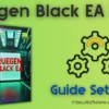 Ruegen Black EA MT4 Settings