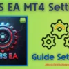 SSIBS EA MT4 Settings