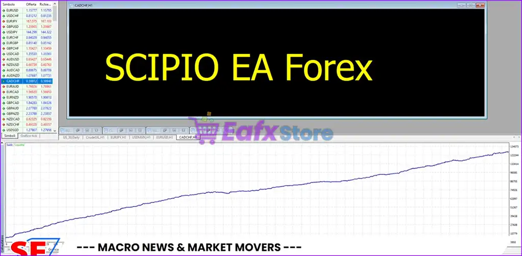 Scipio EA MT4 (Latest original version) 3 Scipio EA Review