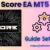 Score EA MT5 Settings