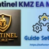 Sentinel KMZ MT5 Settings