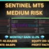 Sentinel MT5 Reviews