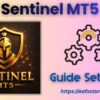 Sentinel MT5 Settings