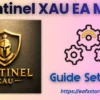 Sentinel XAU EA MT5 Settings