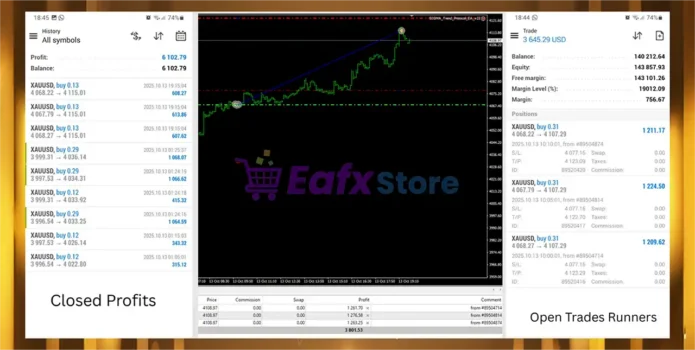 Sigma Trend Protocol EA STP Review