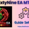 SixtyNine EA MT5 Settings