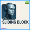Sliding Block EA