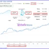 Smart Gold Hunter EA MT5 Live Signal