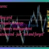 Smart Gold MT4 Reviews