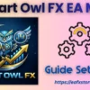 Smart Owl FX MT5 Setting
