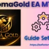 SomaGold EA MT5 Settings