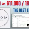 Sorgo EA MT4 Setting and Review
