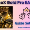 SpaceX Gold Pro MT4 Setting