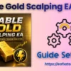 Stable Gold Scalping EA MT5 Settings