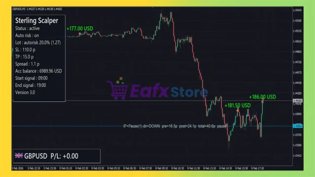 Sterling Scalper MT5 Review