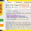 Stock Trader Hedge MT5 Overview