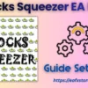 Stocks Squeezer EA MT5 Settings