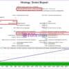 Stp EA MT4 Backtest Results