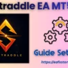 Straddle EA MT5 Settings