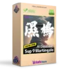 Sup 9 Martingale MT4