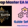 Swap Master EA MT5 Settings