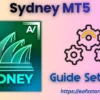 Sydney MT5 Settings