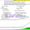 Symphony Trading EA MT4 Backtest Results