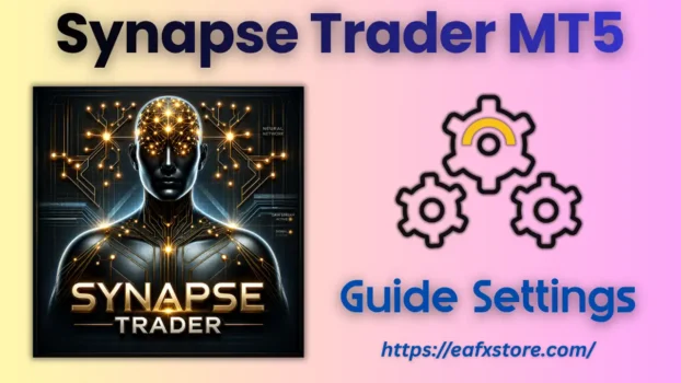Synapse Trader MT5 Settings