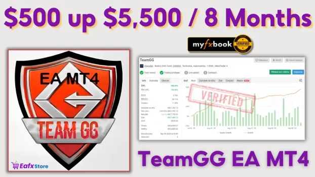 TeamGG EA MT4 Backtest 2024