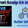 Tenet Scalp EA MT5 Settings