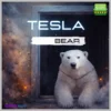 TeslaEaSoft Bear Robot