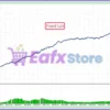 The BTC Winner EA MT5 Backtest Results