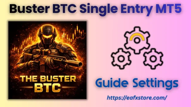 The Buster BTC Single Entry MT5 Settings