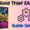 The Gold Thief EA MT5 setting
