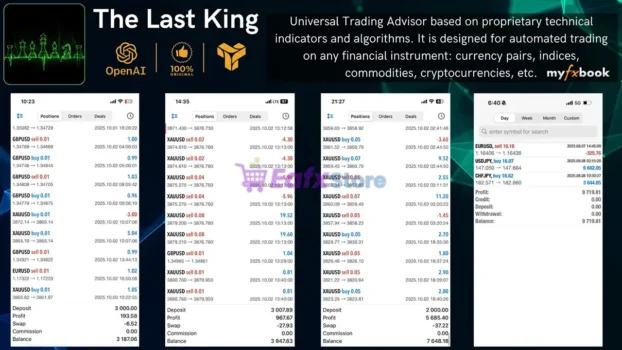 The Last King MT5 Review