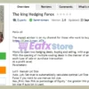 The king Hedging Forex EA Review
