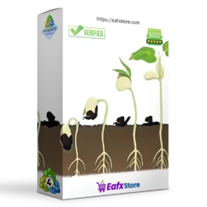 The seed of a big tree EA MT4 (Latest version) - Unlimited 3 The seed of a big tree EA MT4