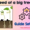The seed of a big tree MT4 Settings