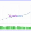 ThunderGold Scalper EA Backtests