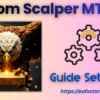 Tom Scalper MT5 Settings