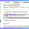 Trade Strike EA MT5 Review