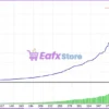 TrendyFollow FX MT4 Backtest Results