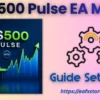 US500 Pulse EA MT5 Settings